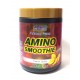 Professional Premium Amino Pineapple Smoothie 1 lb /454 g